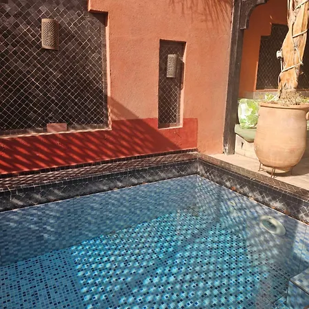 Riad Alegria-2